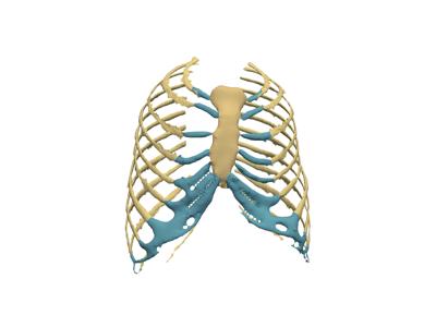 Baseline: sphx_glr_anatomical_groups_006